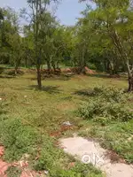 68 cent Land sale