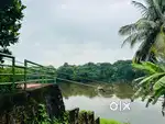 Aluva Desom waterfront 46cent cent 6.50lakh