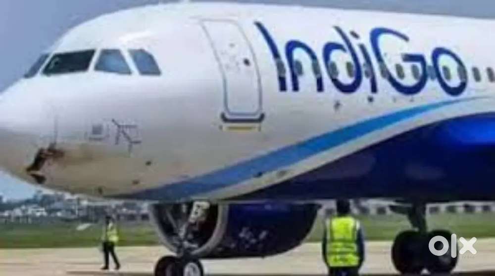Fresher Male/Female Candidate Jobs Apply In IndiGo Airlines