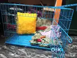 Dog cage  2 feet