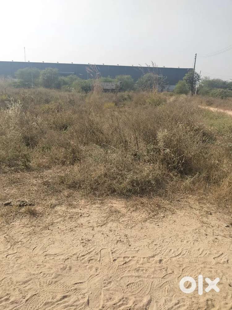 Near Adani warehouse Village Gawalison Distt Jhajjar Distance 7 km