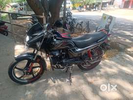 Passion pro
