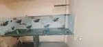 Indipendet 1Bhk Ground Floor For Rent  Scheme 136 Vijay Nagar