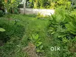 3സെന്റ് സ്ഥലം വില്പനക്ക്