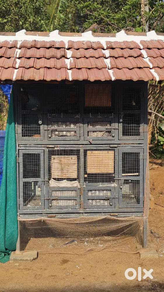 Bird cage  heavy size