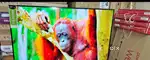 43 inch smart android new seal pack frameless led tv with 600 channel
