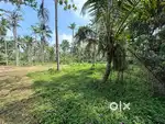 Residensial plot