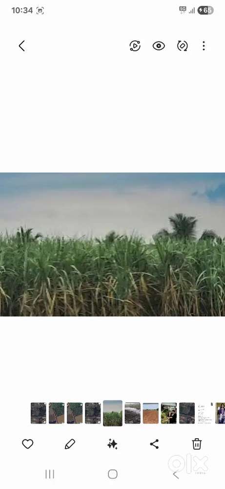 Agricultural land for farming