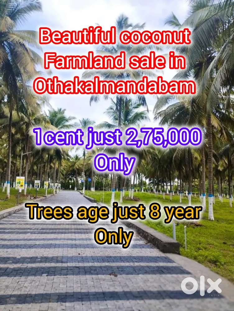 Cocobae Othakalmandabam