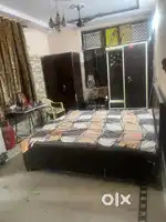 need a room mate urgent