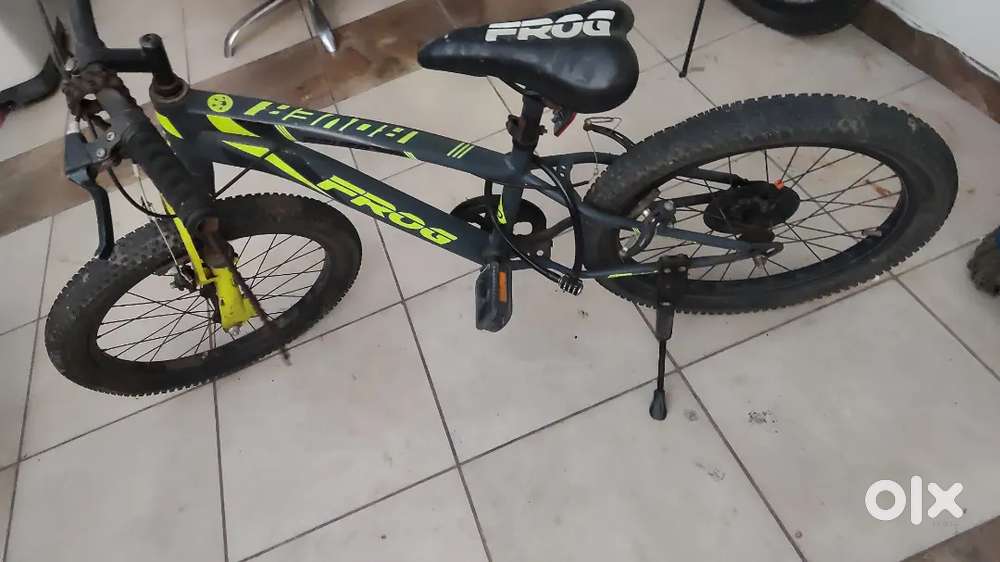 Frog bicyle for kids