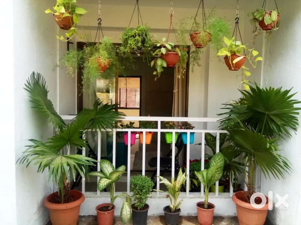 Independence bunglow for sale in Ravet