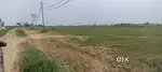 Farm House sale near WASHIRPUR sector 97