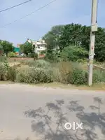 Lal singh basti plot for salr