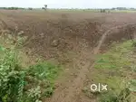 Ten Acres Agriculture Land For Sale in Savalagi