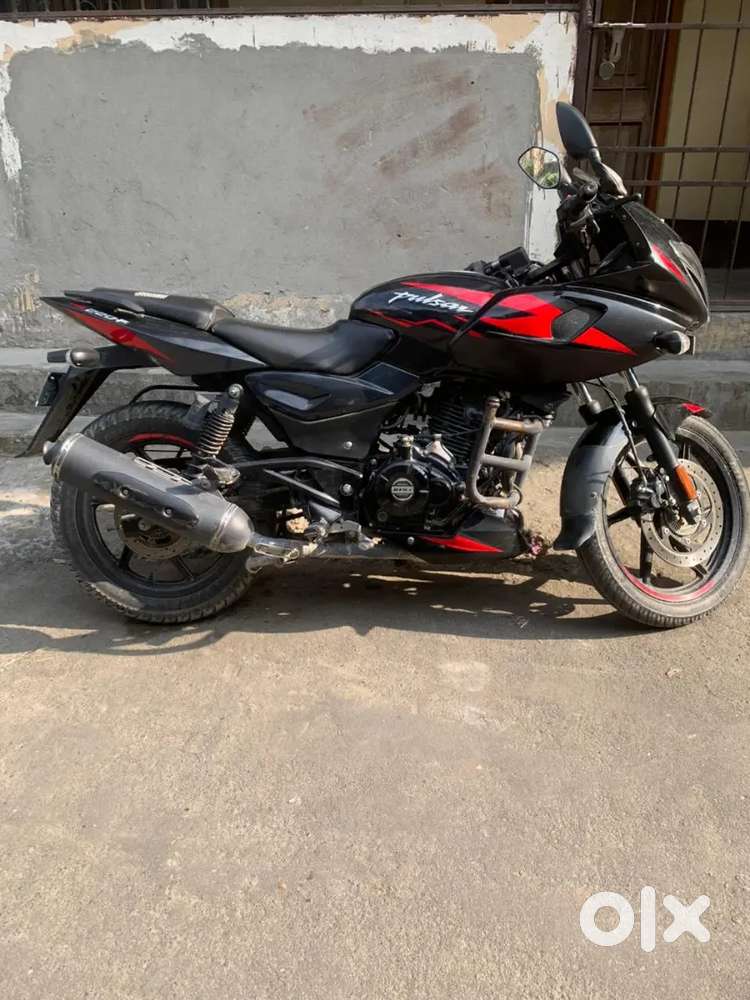 Pulser 220s 2023