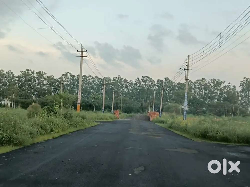 264 gaj plot on 18 meter road, Sector-25, Rohtak