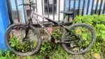 1 year Good condition cycle