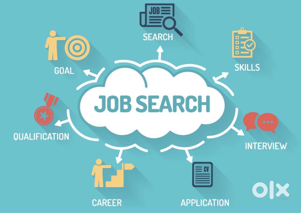 Get Hired Faster – Resume Writing, Naukri & LinkedIn Optimization