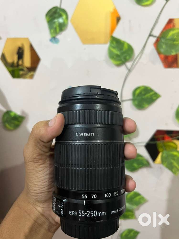 Canon 55-250mm lens