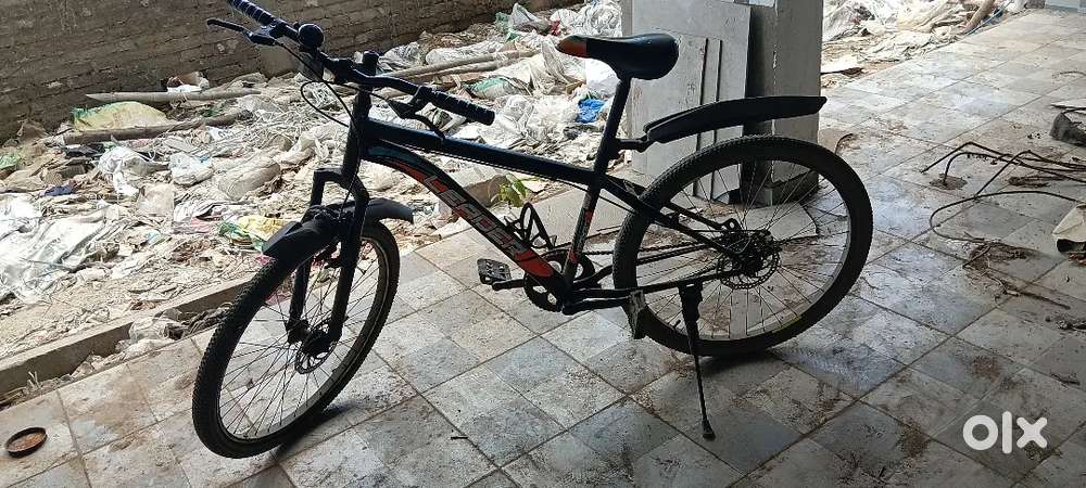 Best cycle