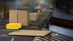 Wanted m/ f packing / sorting / scanning  [ night / day]