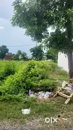 New moradabad