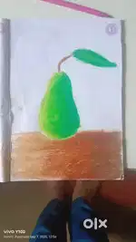 Pear drawing realstic