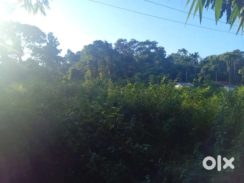3 kattha land available for sale