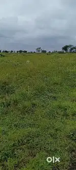 For sale plots