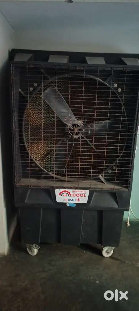 1 year old cooler