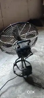 Little Fan