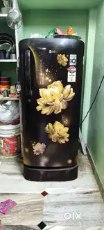 LG refrigerator with smart inverter model 10years compressor warranty