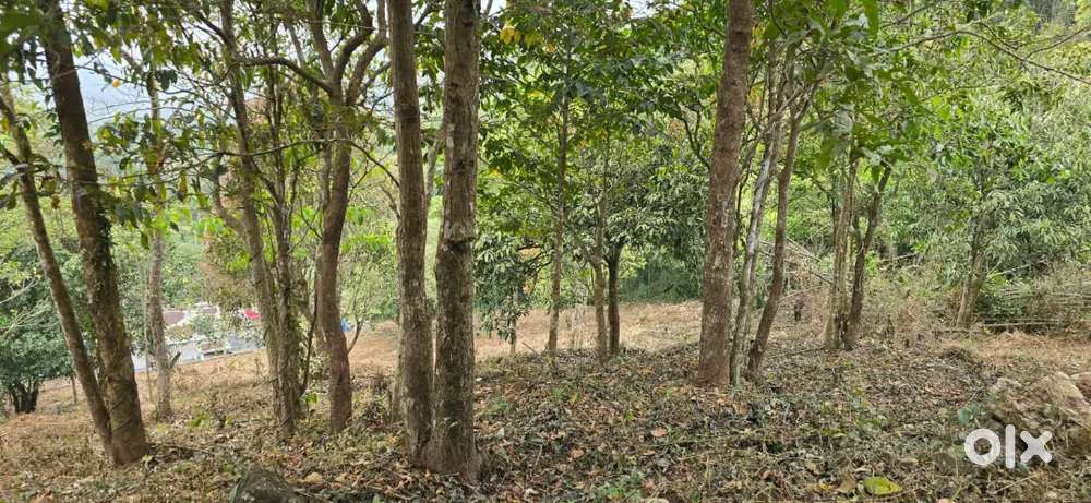 90 cent plot in kakkadampoyil