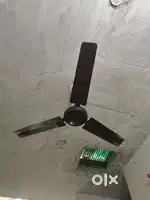 Ceiling fan