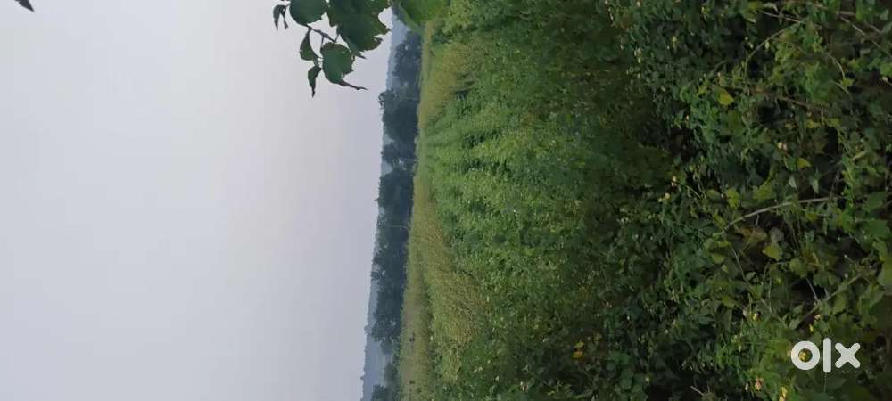 2.5 ACRE ROAD TOUCH LAND FOR SALE AT KHARANGNA MORANGNA