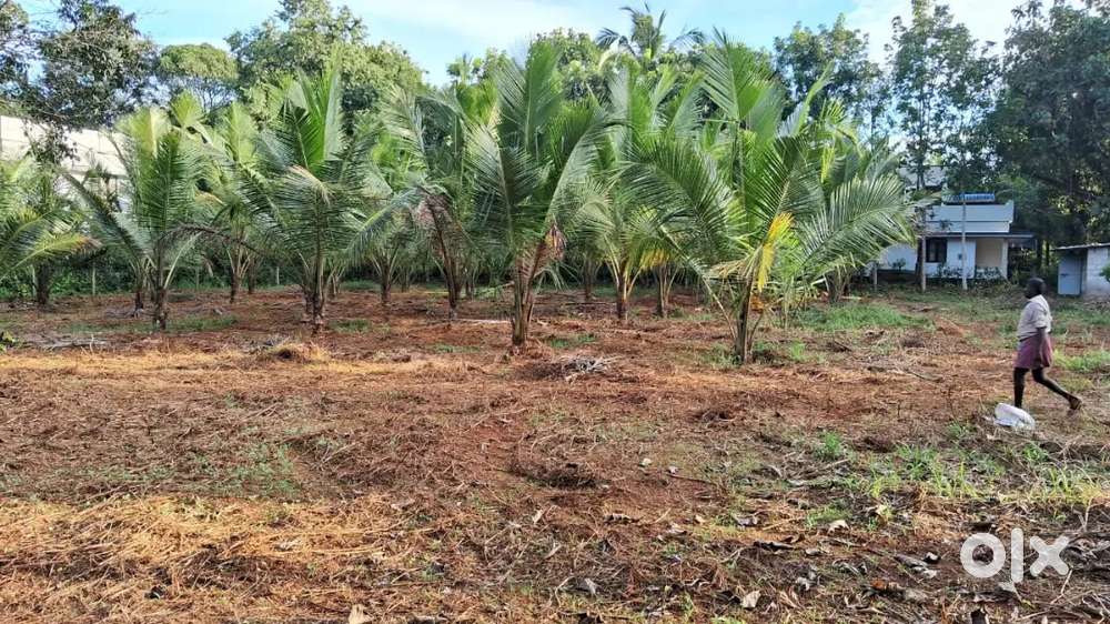 Square Land For Sale