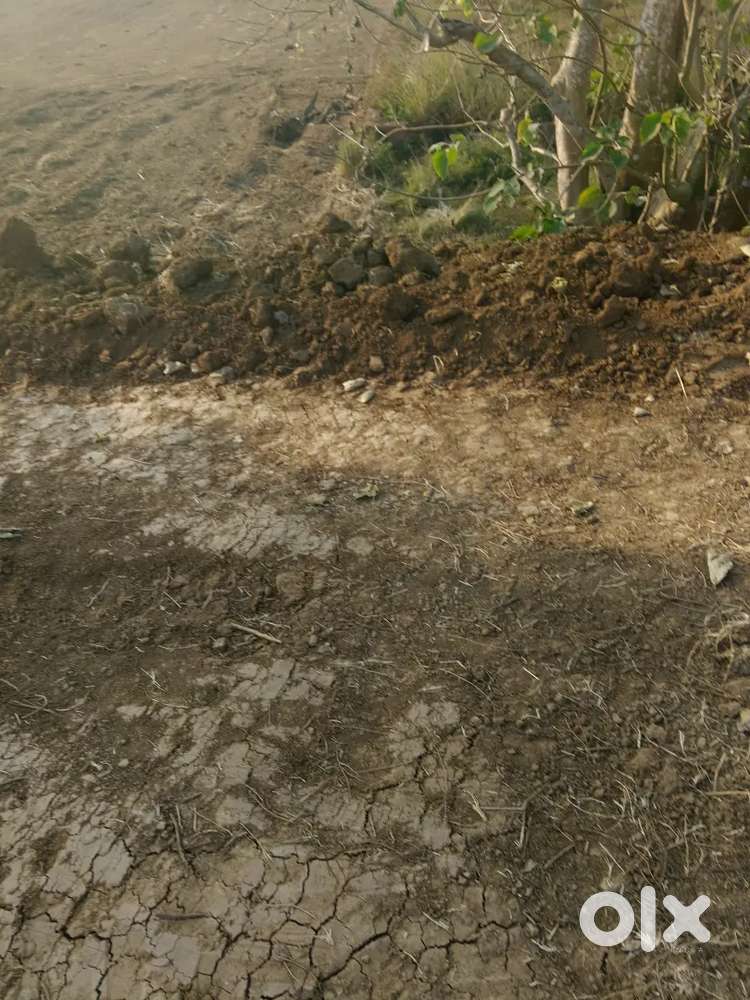 Sundarpada back side