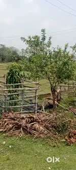 Durgapur ,fuljhor, Steel park, saptash park,