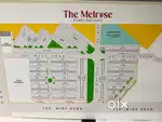Plot 120 Gaj Mohali 74 sector