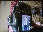 1300D cannon professional entry level model