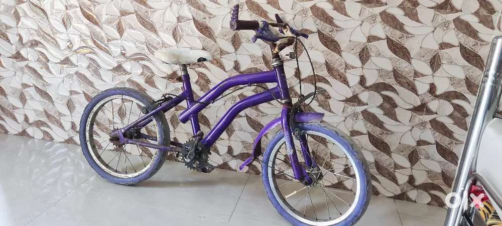 Cycle 5 year children's