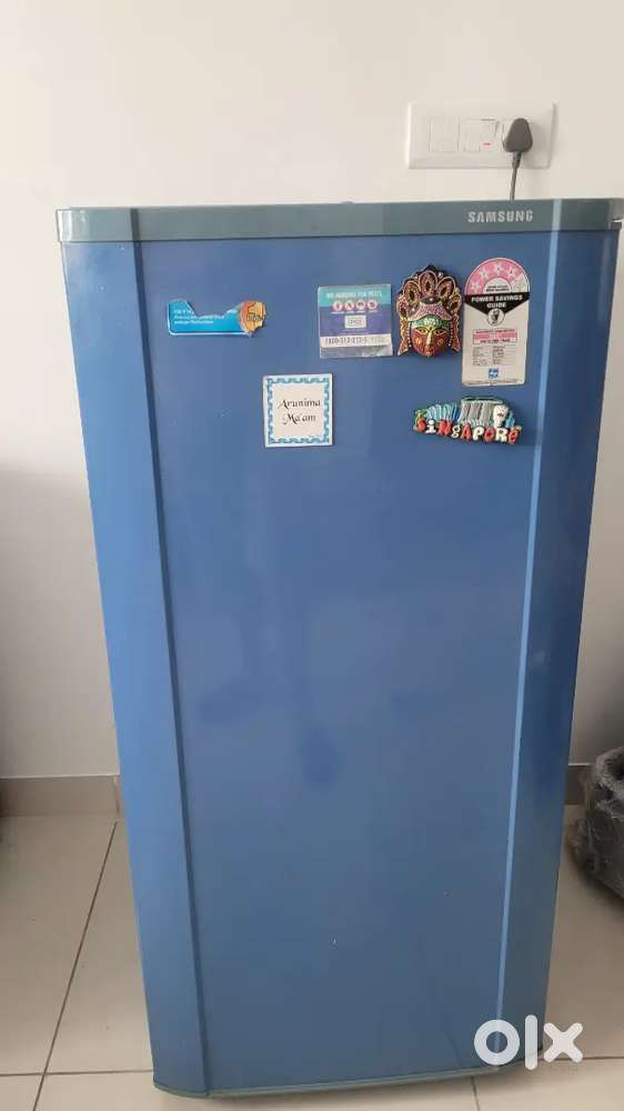 Fridge, FA washing machine and cupboard