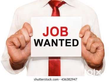 Wanted staff male/female