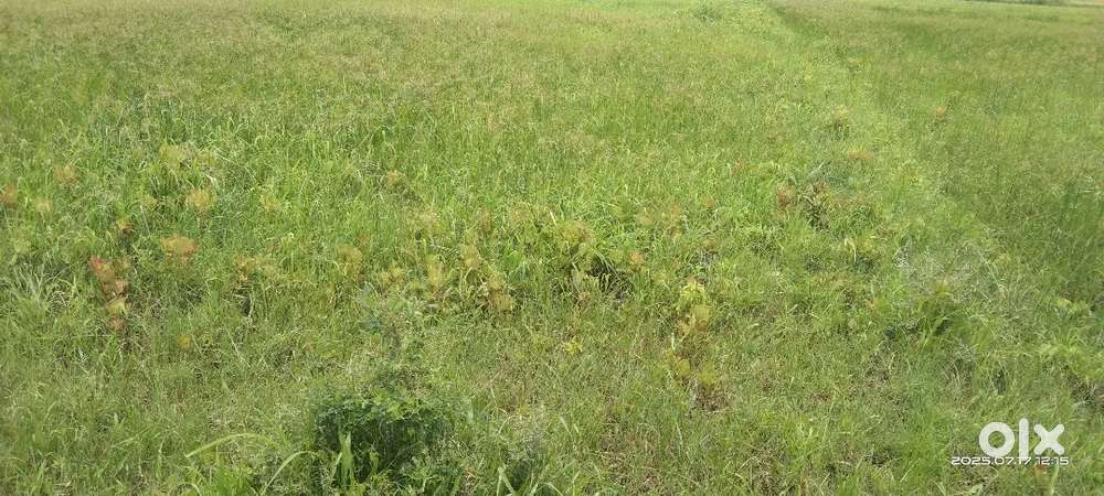 26 guntha aapvni che