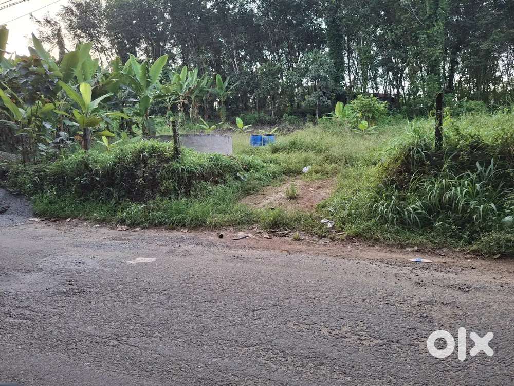 Vazhakulam Bus rout  22 cent house plot