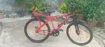 New cycle hai best quality