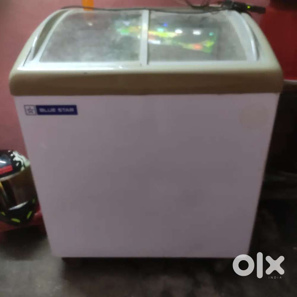 Blue star icecream frizer /200lr