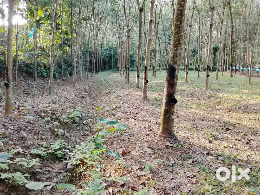 37 Cent Plot for Sale