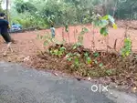 20 cents Residential plat for sale , Puliyanam, Angamaly